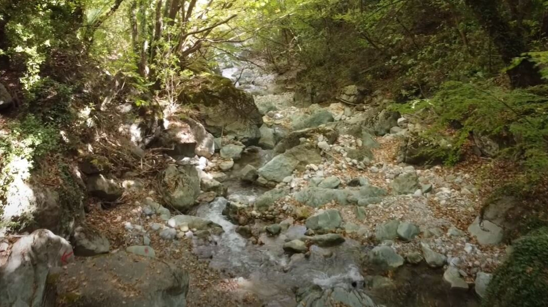 Irene's Healthy Life-Pallini必去景点