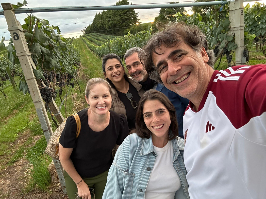 Vinícola Caetano Vicentino-Nova Padua必去景点