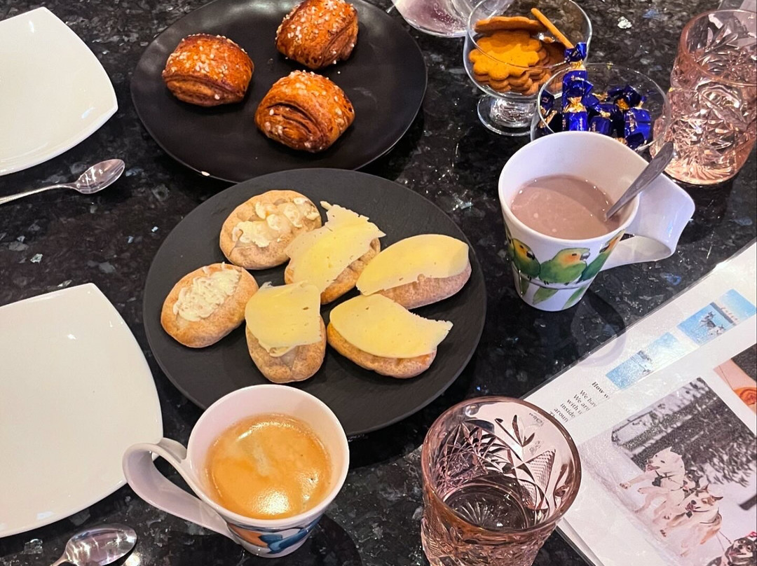 Unique husky sleddog tours near Helsinki-赫尔辛基必去景点