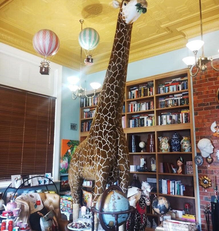 Dimboola Imaginarium景点图片