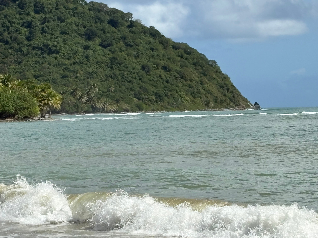 Playa Mario景点图片