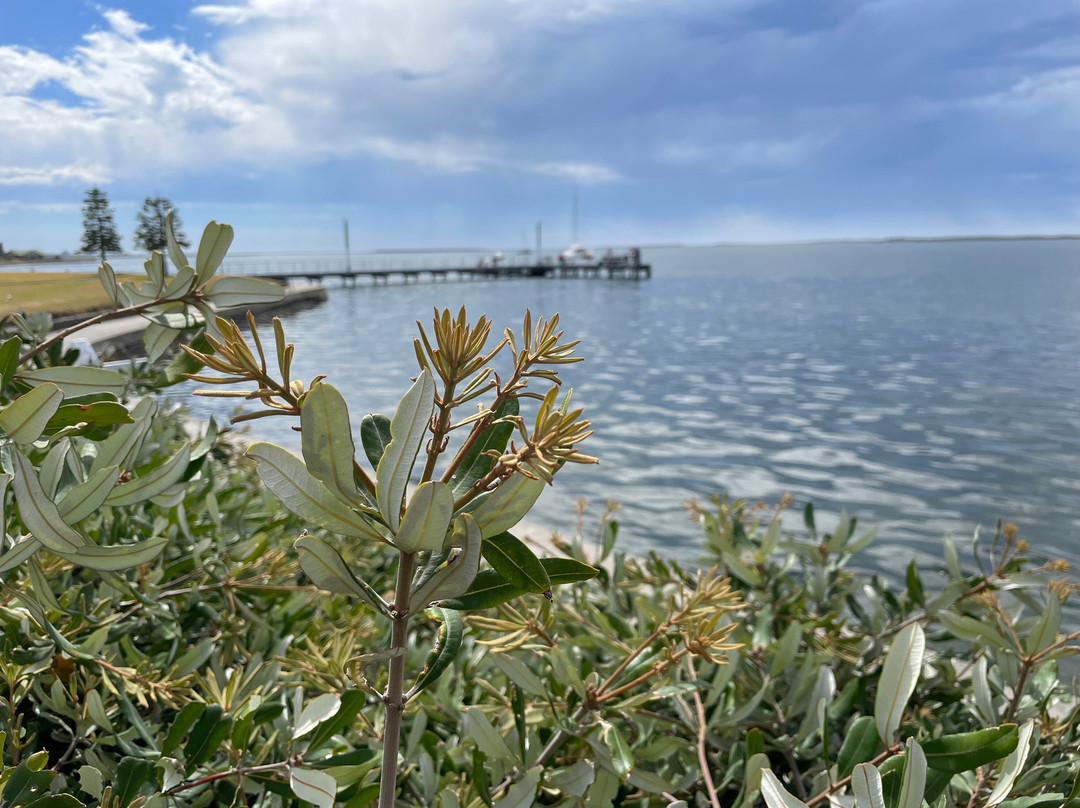 Rutters Jetty-Port Albert必去景点
