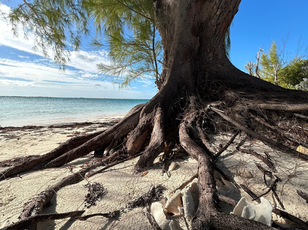 Andros Excursions-Andros必去景点