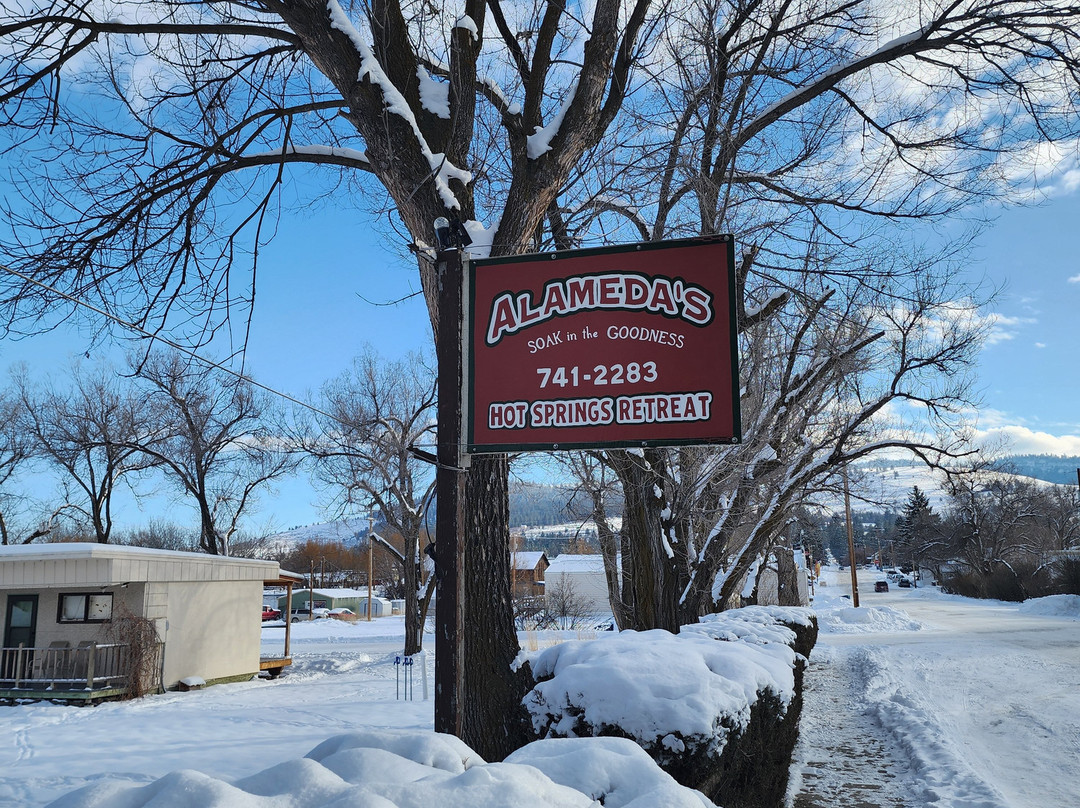 Alameda's Hot Springs主图