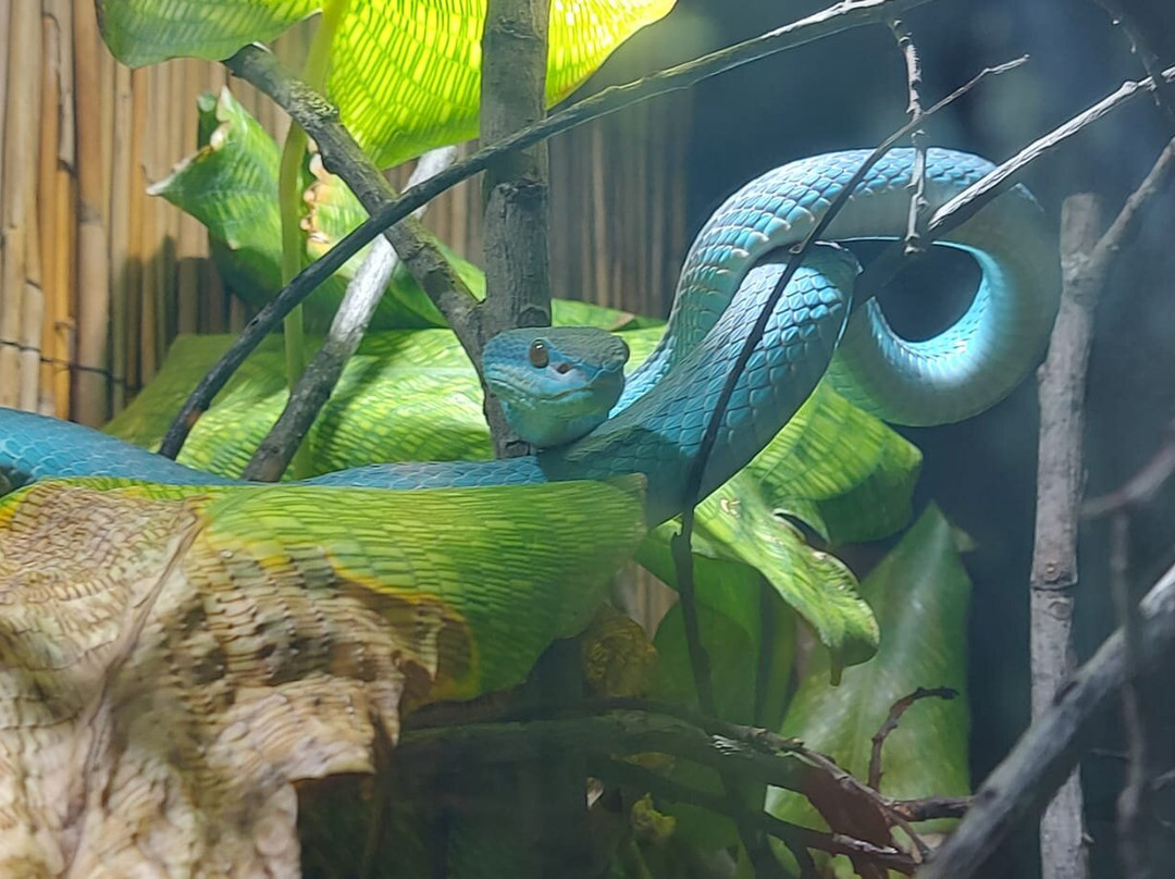 Reptilienzoo Nockalm-Patergassen必去景点