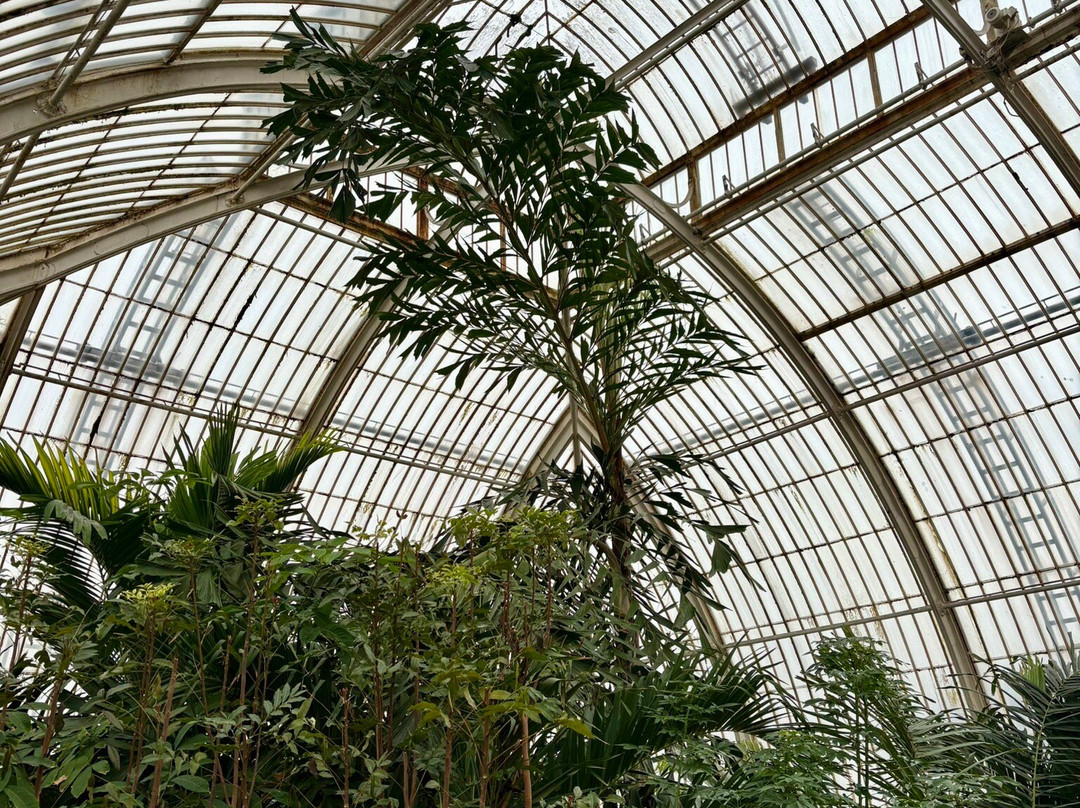 Palm House景点图片