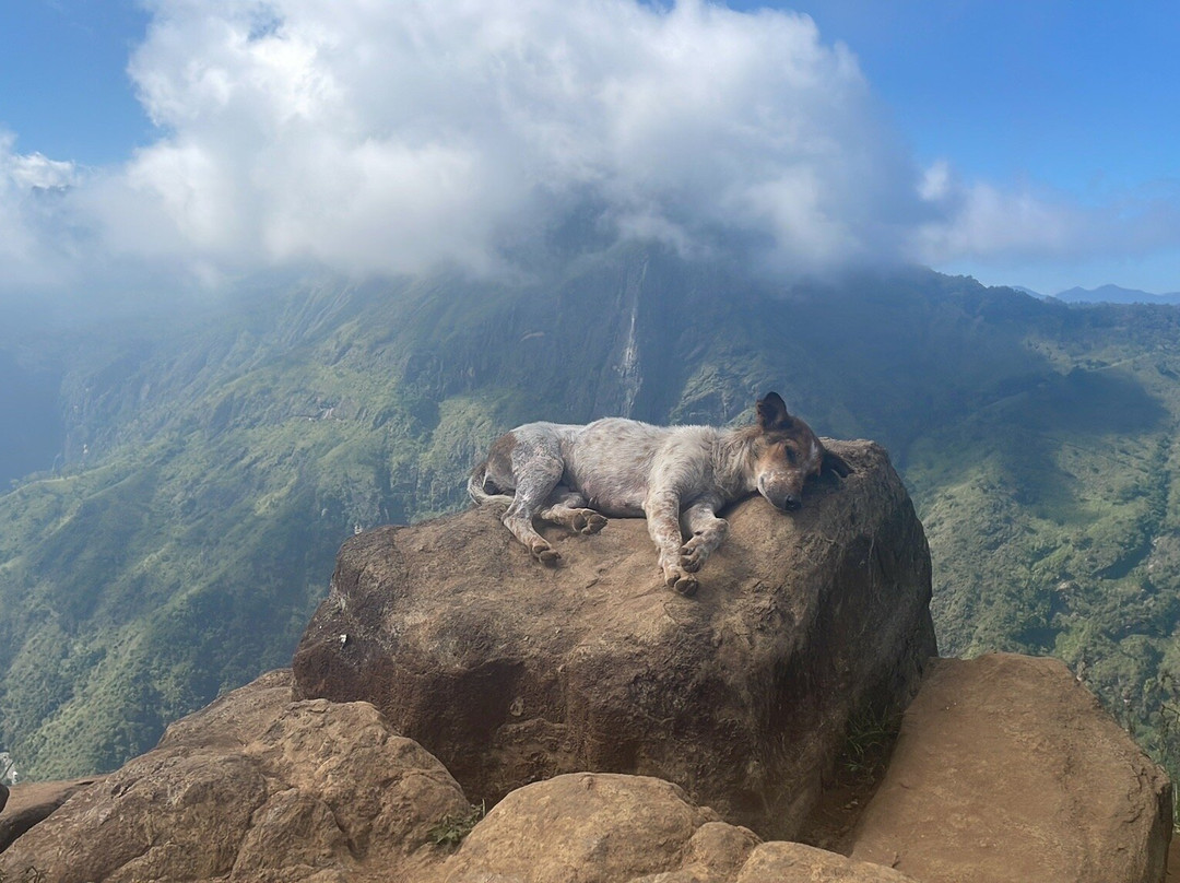 Sri Lanka Chamo Tours景点图片