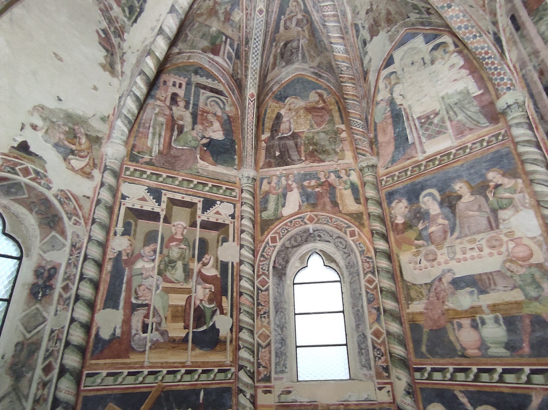 Polo Museale di San Francesco景点图片
