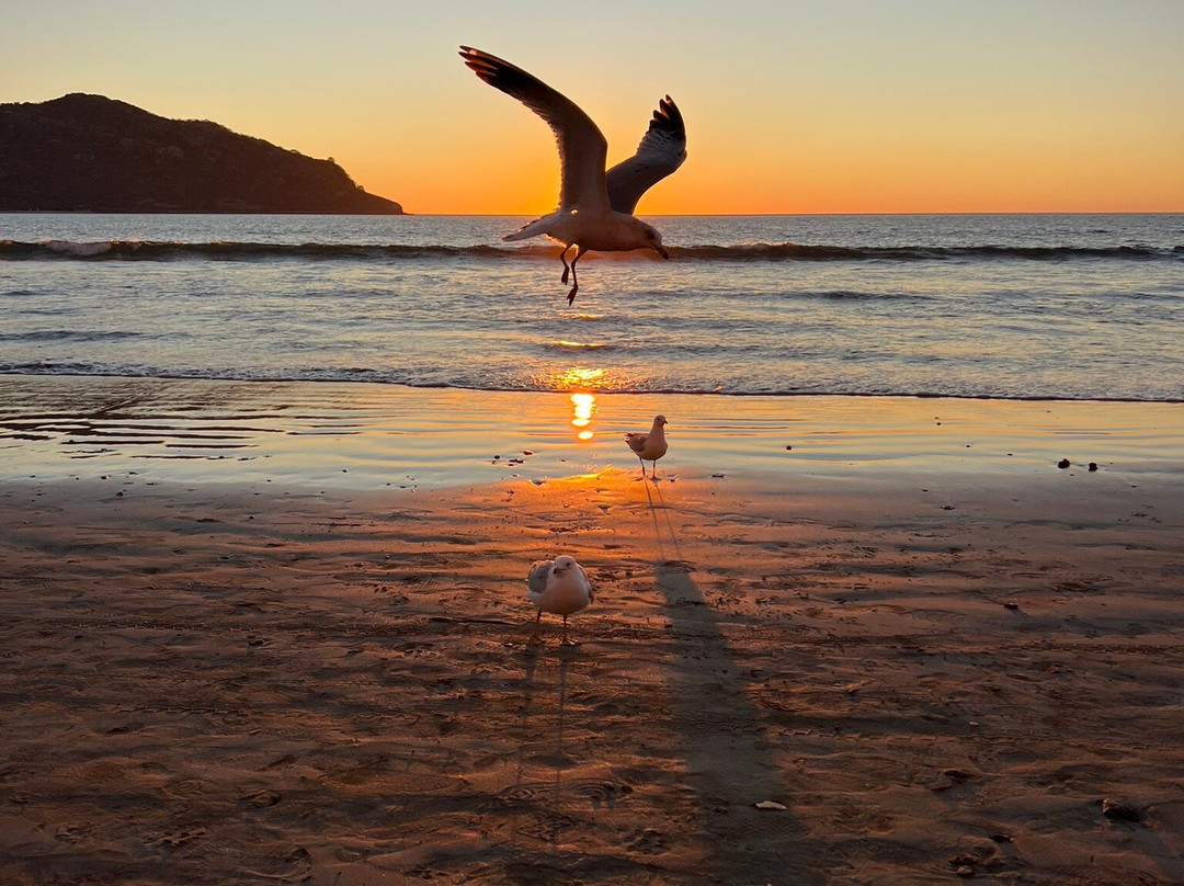 黄金区-马萨特兰必去景点