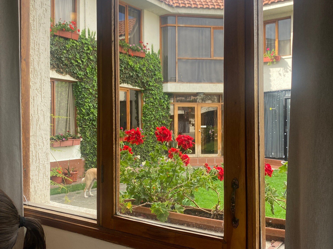 Hotel Rincon Aleman主图