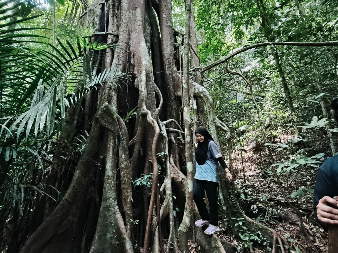 Gunung Pulai (Mount Pulai)景点图片