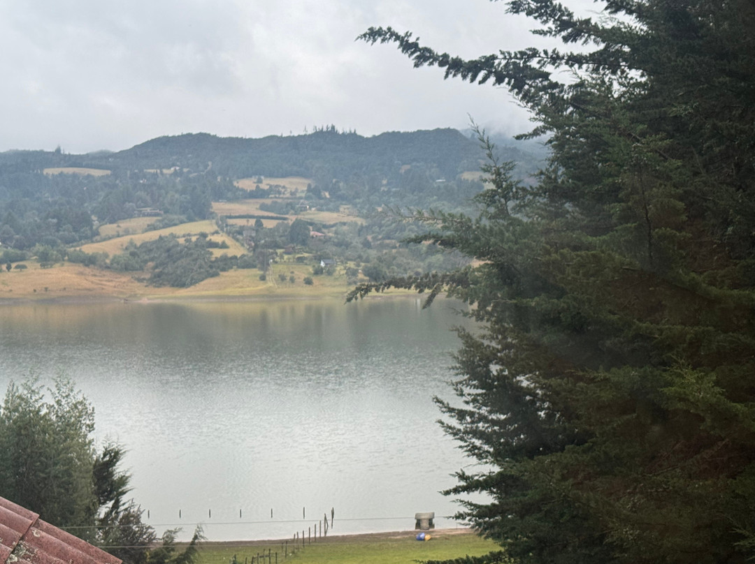 Estacion Primavera主图