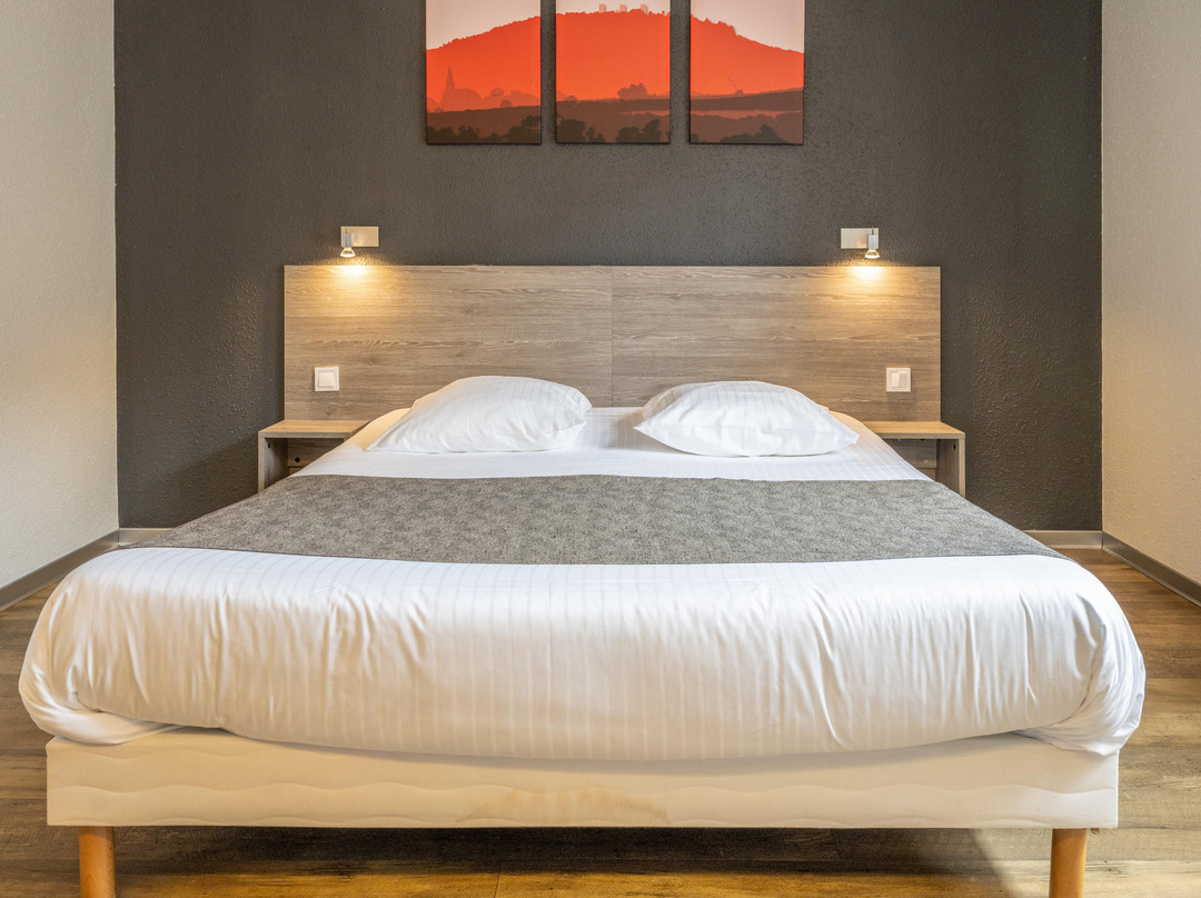 Hôtel Colmar Vignes主图