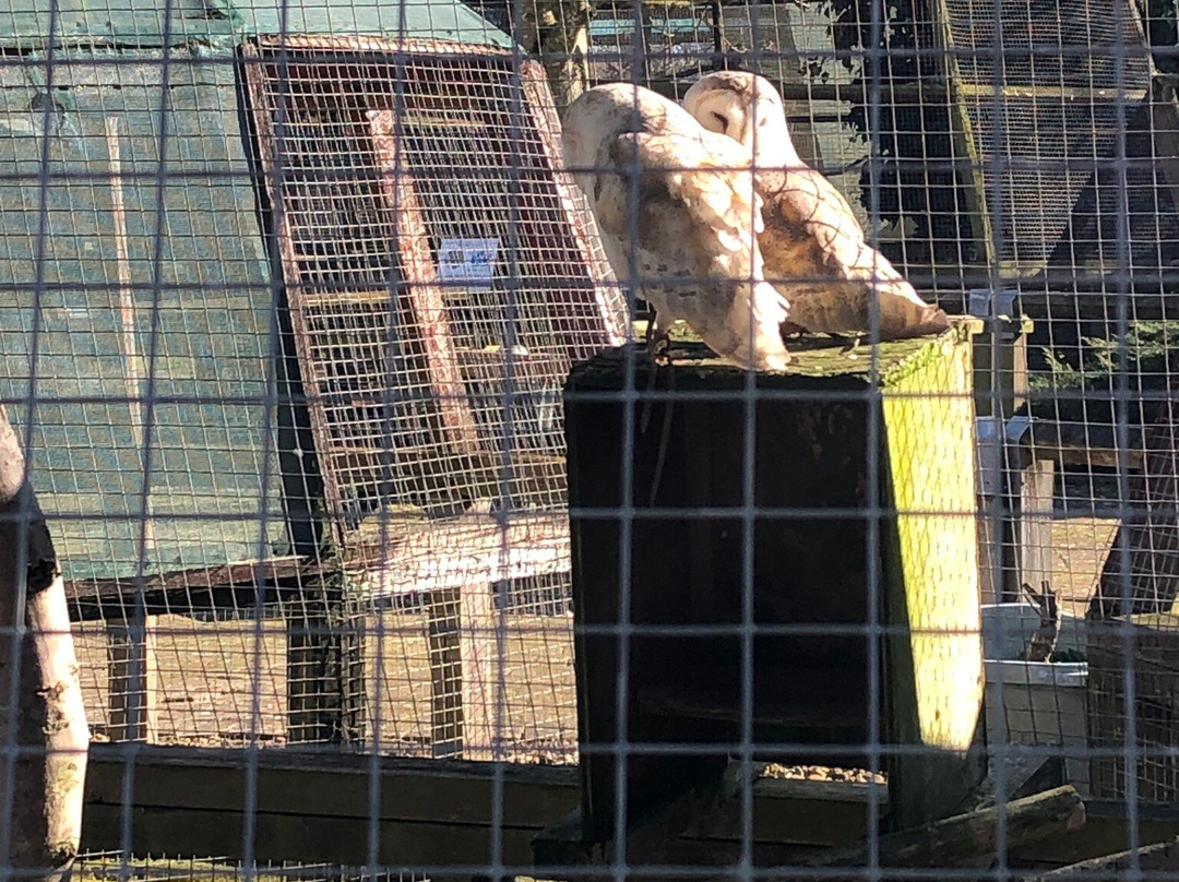 Raptor Foundation景点图片