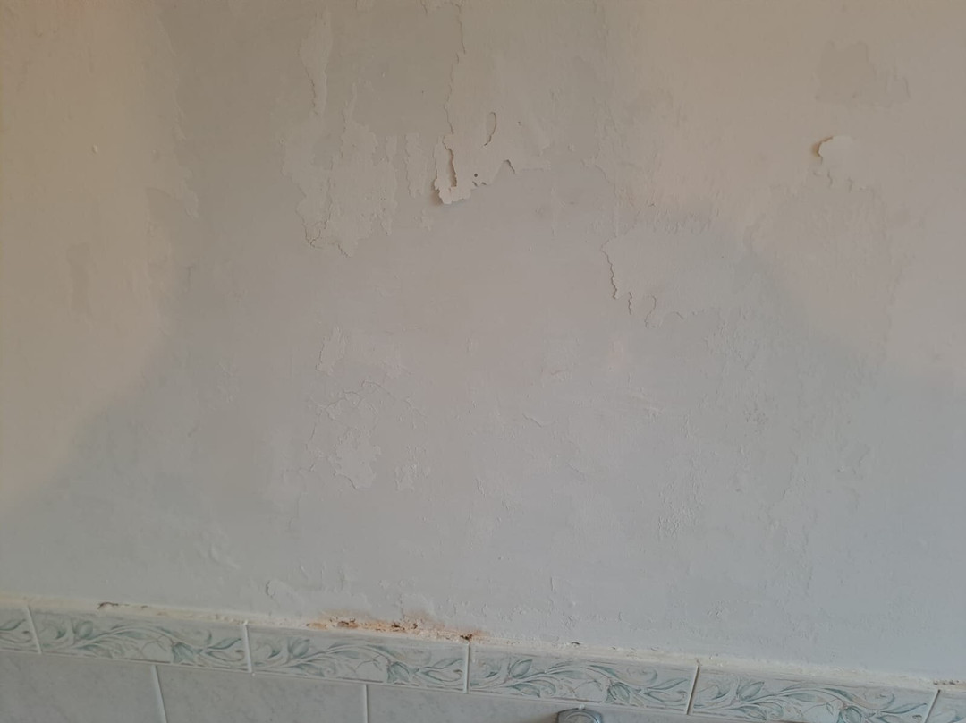 Park Hotel Paradiso主图