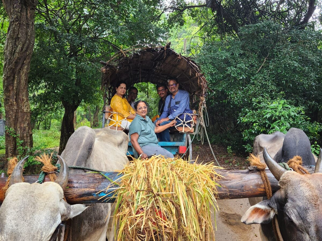 Round tour in Srilanka景点图片