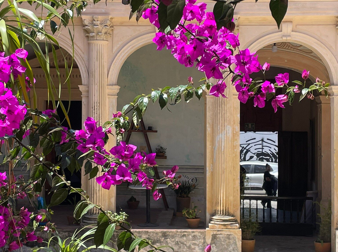 La Enseñanza Casa de la Ciudad-圣克里斯托瓦尔-德拉斯卡萨斯必去景点