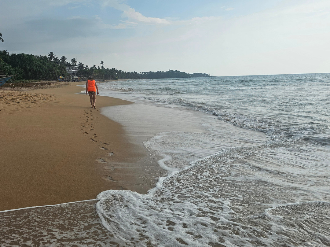 The Garden Beach Ayurveda Resort主图