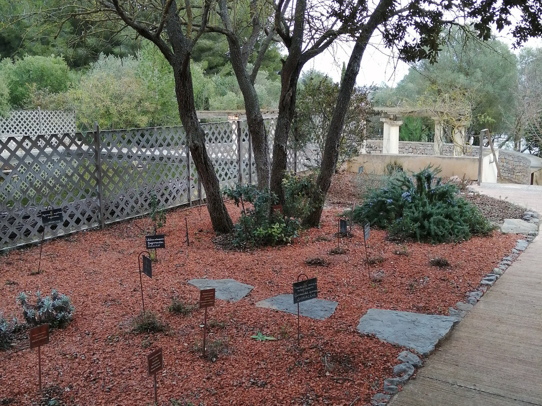 Jardin Antique Méditérranéen景点图片