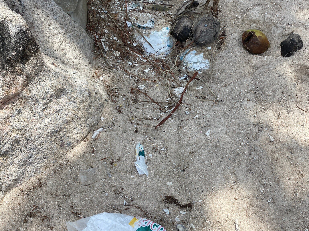 贾森湾-涛岛必去景点