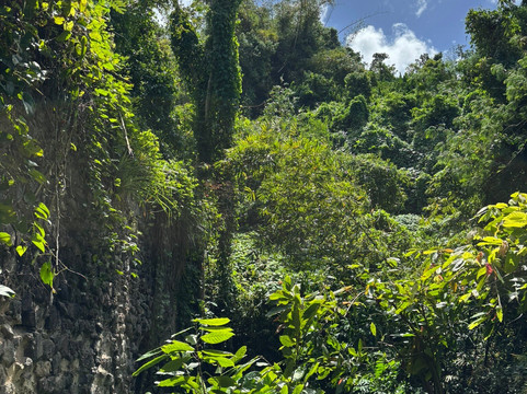 Hidden Treasures Hikes-St. George's必去景点