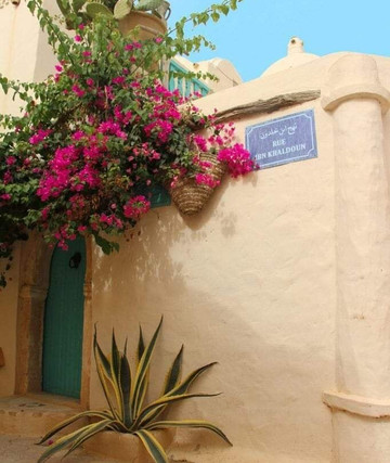 Walymel Travel-杰尔巴岛必去景点