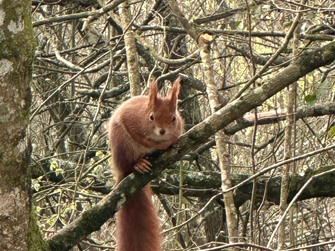 Wildwood Devon-Ottery St. Mary必去景点