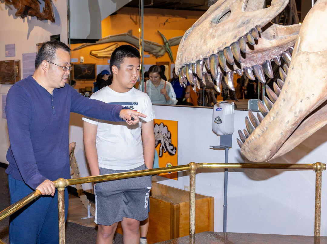 Arizona Museum Of Natural History-梅萨必去景点