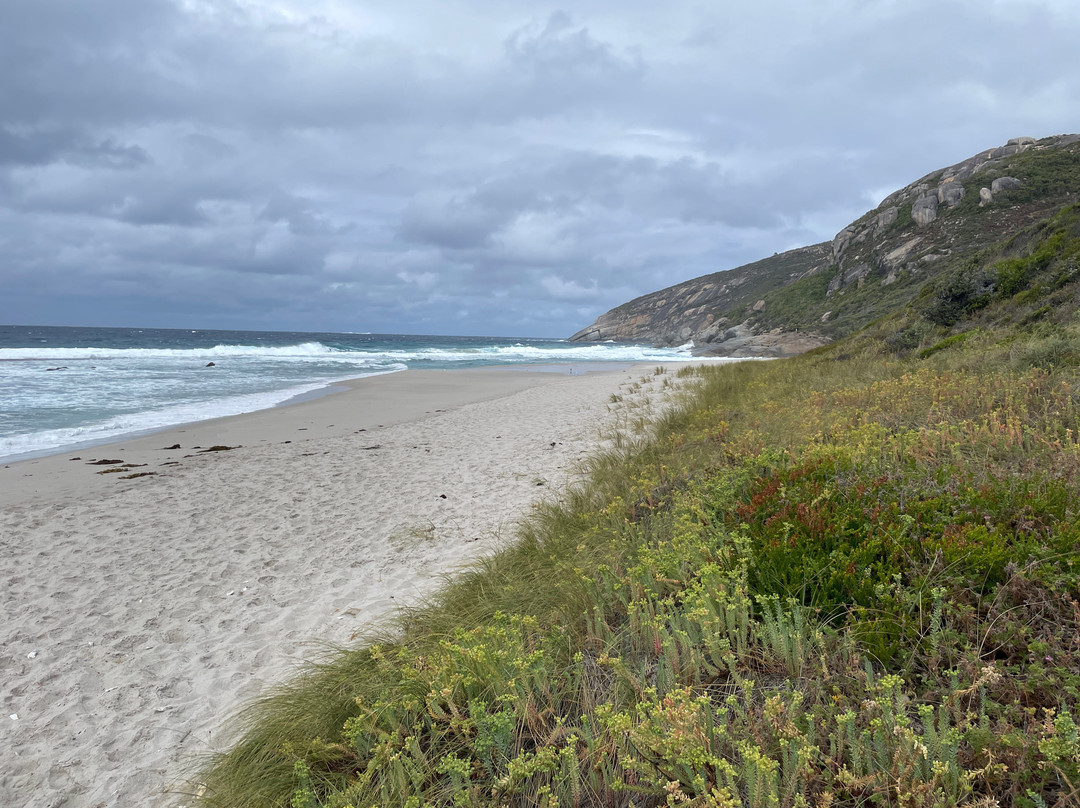 Salmon Holes-奥尔巴尼必去景点