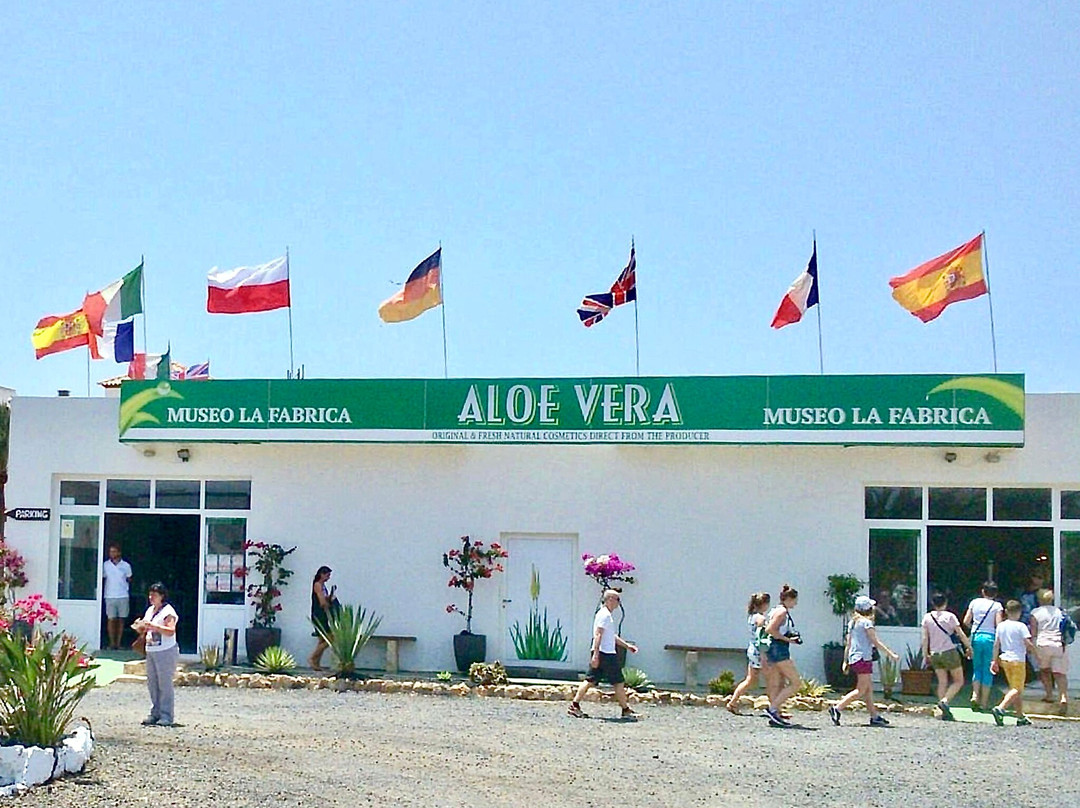 Aloe Vera museum景点图片