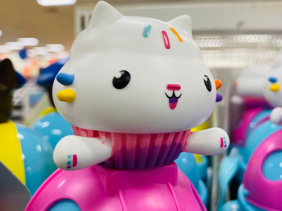 Big W Palmerston-帕默斯顿必去景点