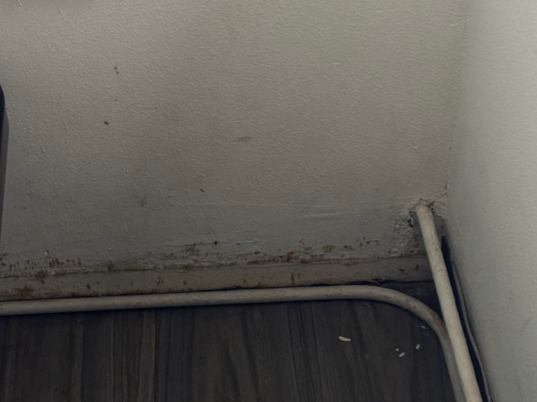 鲁伊多索旅程住宿酒店主图