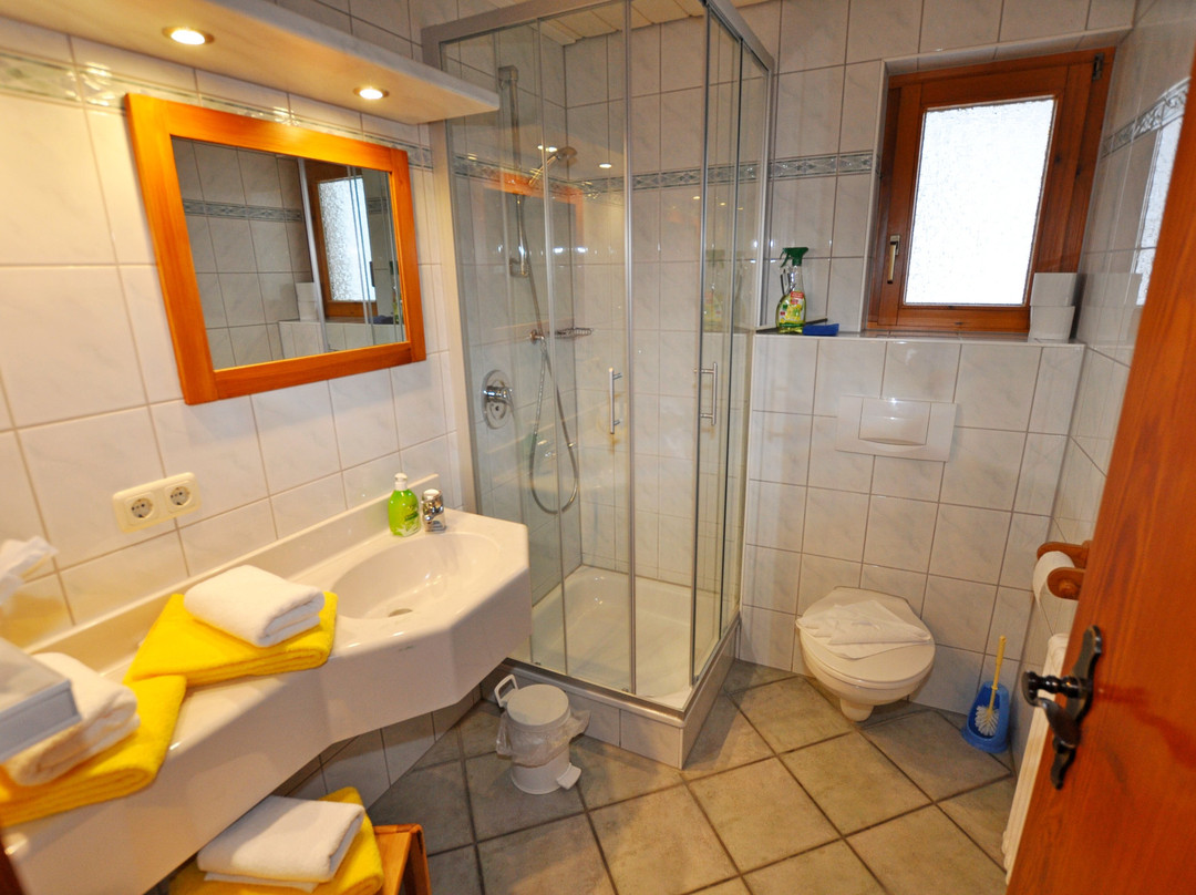 Landhaus Wildschuetz主图