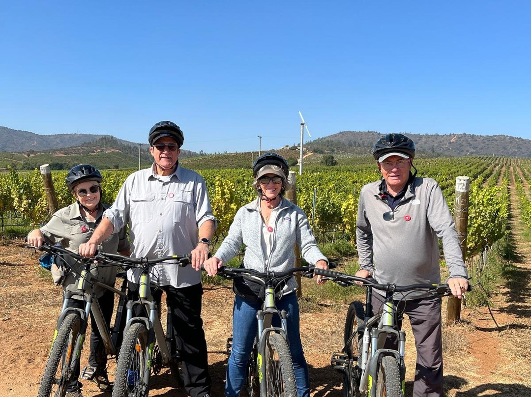 Casas del Bosque-卡萨布兰卡必去景点