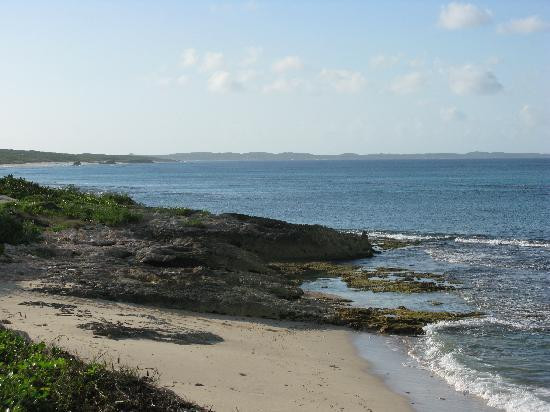 Winter Haven Inn主图