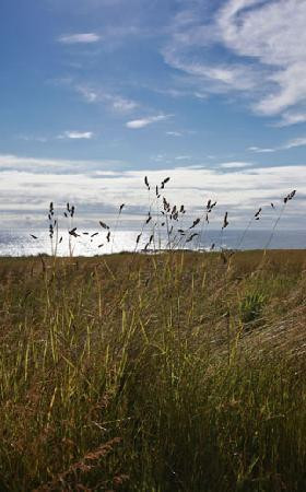 Westport Hotel主图