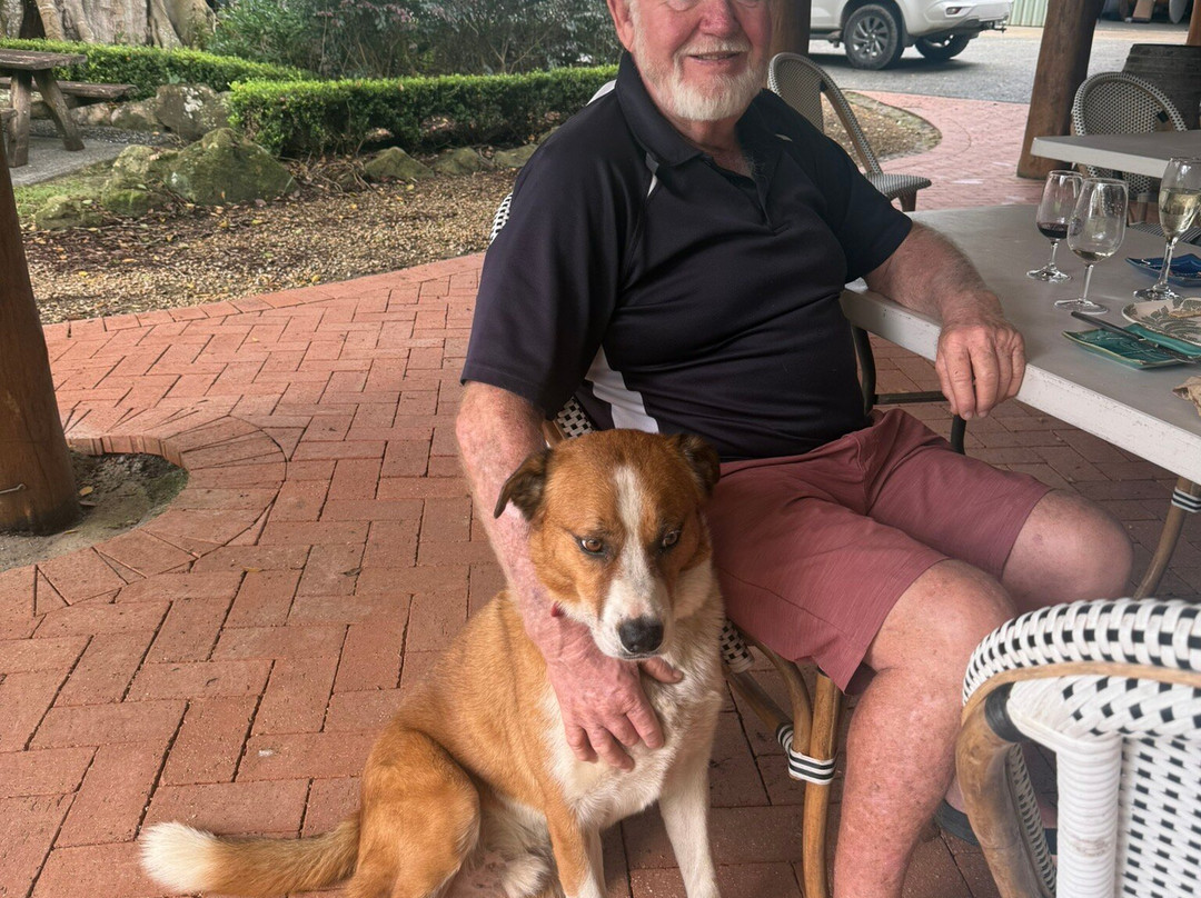 Great Lakes Paddocks-Wootton必去景点