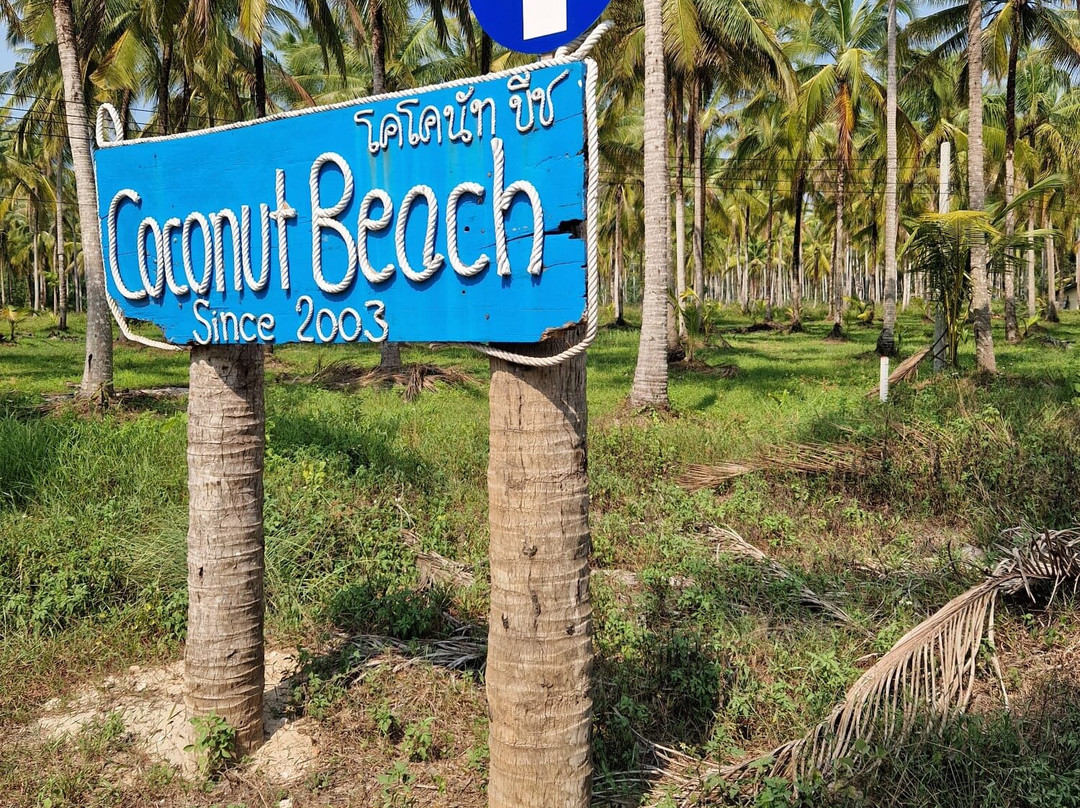 Coconut Beach景点图片