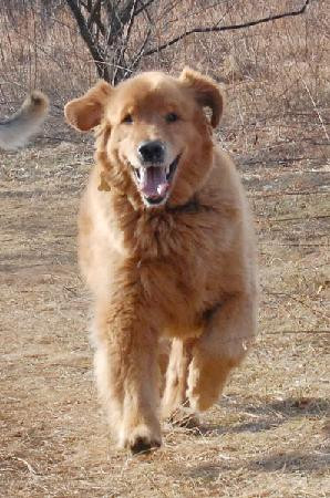 The Carriage House at 26 Pearl主图