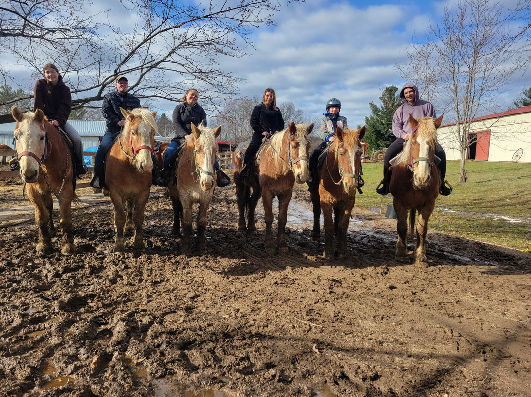 Red Ridge Riding Stable景点图片