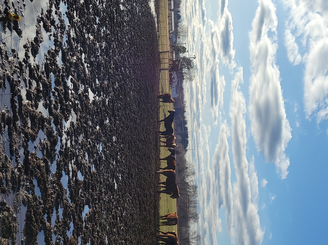 Red Ridge Riding Stable景点图片