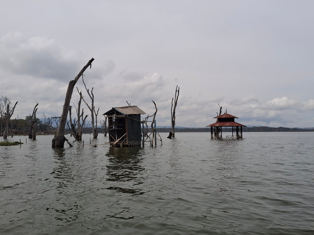 Topcats Safaris Ltd-内罗毕必去景点