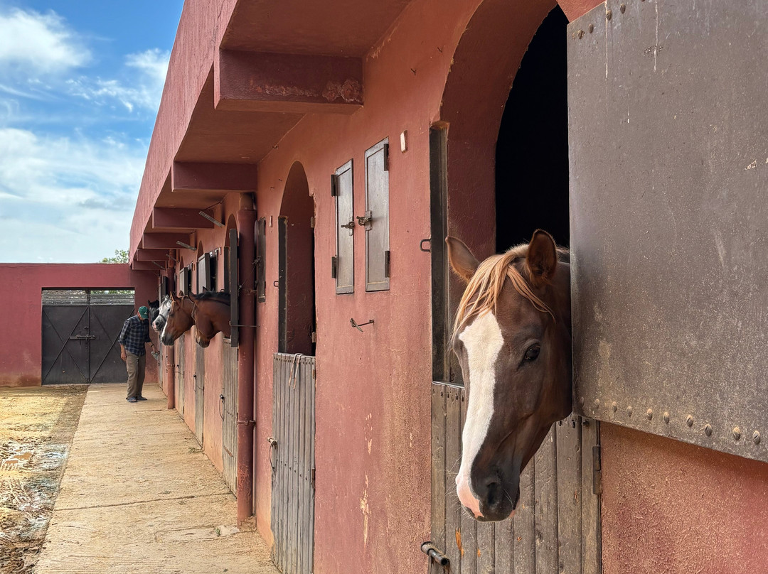 Château Roslane Boutique Hôtel & Spa主图