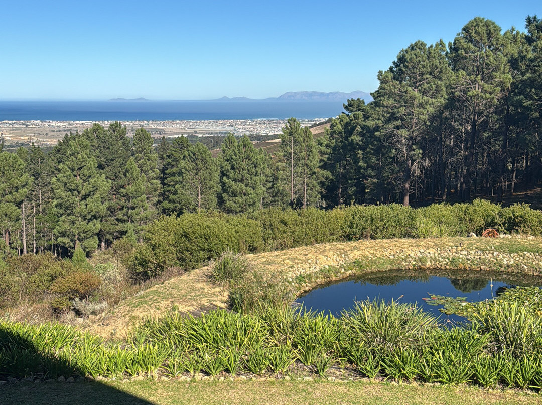 Lalapanzi Lodge主图