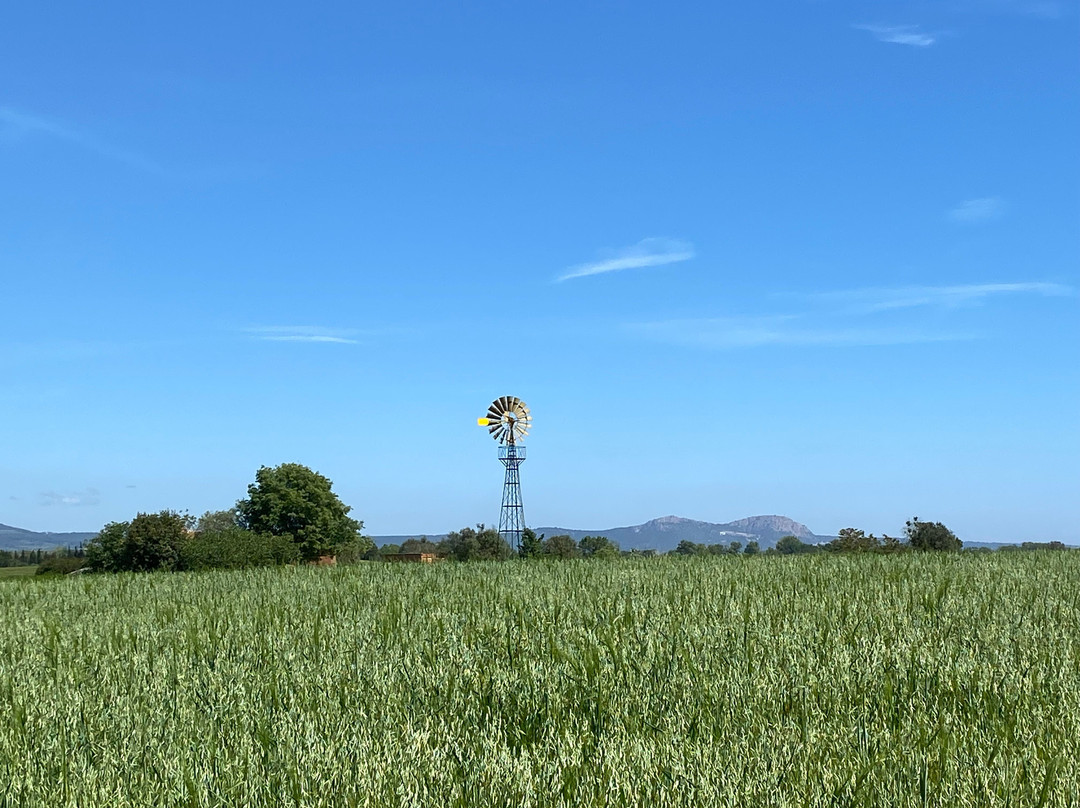 Burricleta S.L-Gualta必去景点