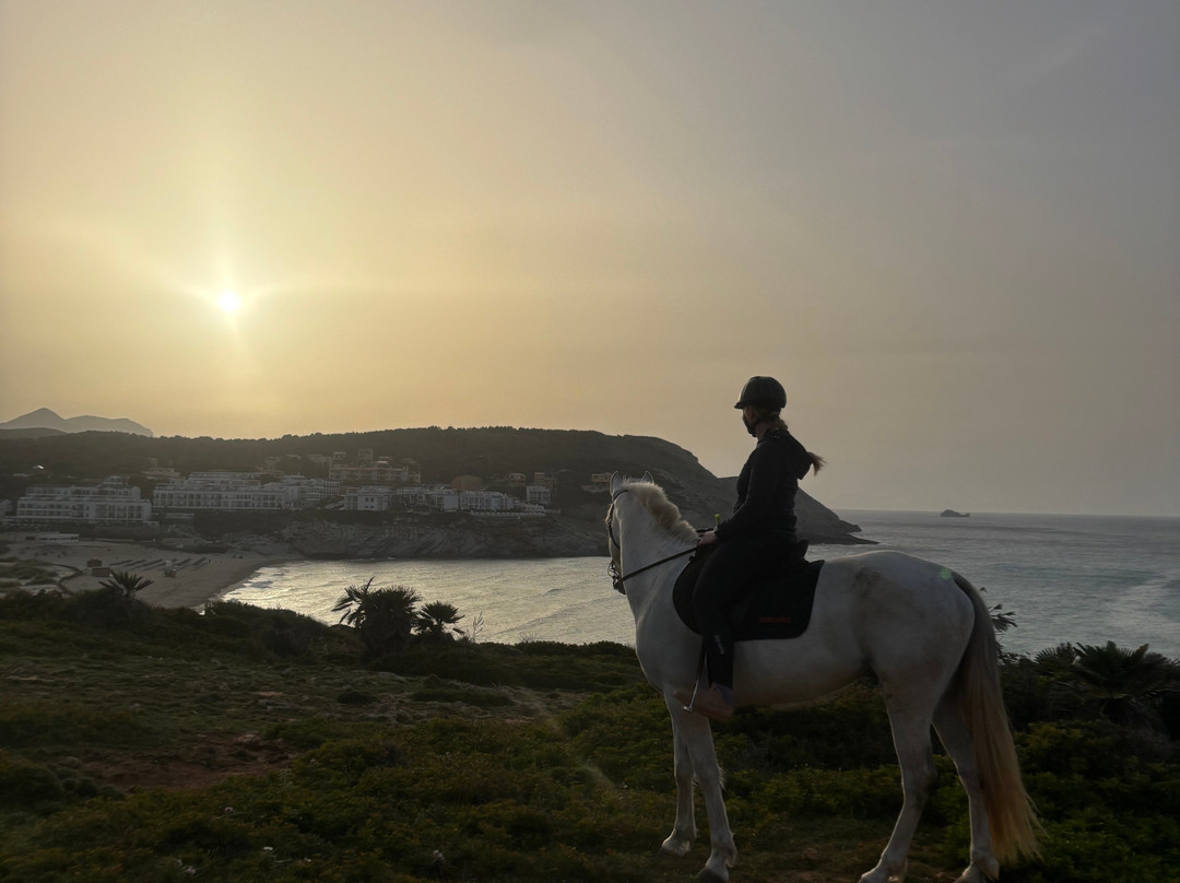 Hipico Cala Ratjada Eddi's Reitstall-Cala Ratjada必去景点