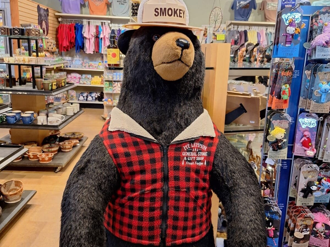 Mount Lemmon-Mount Lemmon必去景点