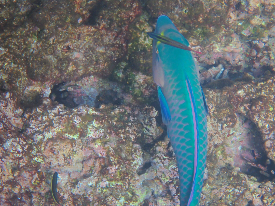 Fragata Yacht-Baltra必去景点