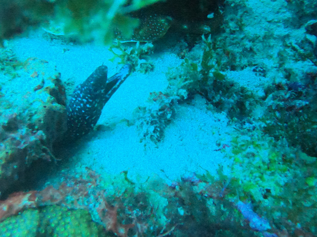 An Dlo-Le Diamant必去景点