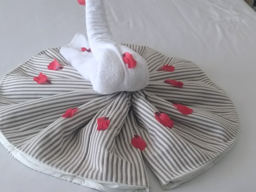 JAZ Costa Mares主图